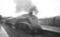 60031 <I>Golden Plover</I> calls at a damp Stirling station on 16 April 1965 with an Aberdeen - Glasgow Buchanan Street service.<br><br>[K A Gray 16/04/1965]