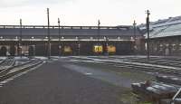 The front of Polmadie shed on an overcast March afternoon in 1971. The shed yard seems strangely deserted, although the yellow ends betray the presence of locomotives of classes 17, 24 and 50 inside, while the silhouettes on the left suggest further variety in the shape of classes 08 and 20.<br><br>[Bill Jamieson 13/03/1971]