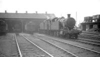 General view of Duffryn Yard (87B), Port Talbot, on 28 June 1959. Nearest the camera is GWR 2-8-0T no 5220.<br><br>[Robin Barbour Collection (Courtesy Bruce McCartney) 28/06/1959]