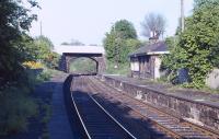Platform view at Blackford Hill station looking east towards <br>
Newington in the late spring of 1971, nearly 9 years after closure.<br><br>[Bill Jamieson //1971]