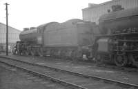 B1 4-6-0 no 61345 is in a lineup of 'stored' locomotives on the south side of Bathgate shed on 28 March 1964. 61345 had been withdrawn from St Margarets shed in June 1961 and was eventually cut up in the yard of Messrs Campbell of Airdrie in September 1966.   <br><br>[K A Gray 28/03/1964]