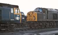 A contrast in noses at Polmadie - class 50 No. 429, the now preserved class 40 No. 306 and an unidentified Peak, probably <br>
of the class 45 variety, in the yard on 13th March 1971.<br>
<br><br>[Bill Jamieson 13/03/1971]