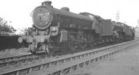 B1 4-6-0 no 61398 and colleagues in the sidings at Carlisle Canal shed in June 1962.<br><br>[K A Gray 07/06/1962]