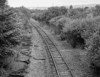 View west from the Beardmore Street bridge in September 1991. The track to the left was the western extent of the Arnott Young sidings, having been cut back from the Clyde Navigation Trust depot. The track to the right was the former westbound track of the main line, retained until the 1980s for the Chivas Regal Depot (closed early 1988) and the Dalnottar Oil Depot (end of line lifted by 1987). Dalmuir Riverside station was behind the camera. For a more recent view [see image 14856].<br><br>[Bill Roberton 14/09/1991]