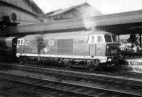 Hymek no D7010 stands alongside the mailbag trolleys at Bristol Temple Meads in 1961.<br><br>[John Thorn //1961]