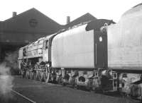 BR Standard class 9F 2-10-0 no 92017 photographed on 29 April 1967 in the shed yard at Kingmoor.<br><br>[K A Gray 29/04/1967]