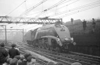 Gresley A4 Pacific no 60019 <I>Bittern</I> photographed at the west end of Guide Bridge station on 25 November 1967. The locomotive is in the process of running round the MRTS <I>'Mancunian'</I> railtour (aka <I>'Lancs & Yorks Rambler'</I>) which it had recently brought in from Leeds City. The A4 was preparing to take the train on the next leg of the tour to Stockport - running tender first.<br><br>[Robin Barbour Collection (Courtesy Bruce McCartney) 25/11/1967]