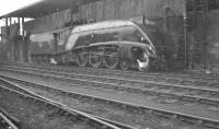 Scene on Heaton shed in February 1962 with A4 Pacific no 60027 <I>Merlin</I> alongside the coaling stage.<br><br>[K A Gray 10/02/1962]