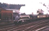 A4 60022 <I>Mallard</I> at the head of the Gainsborough Model Railway Society 'Forth Bridge Special' returning to Lincoln, at the east end of Waverley station on Saturday 26th May 1962.<br><br>[Frank Spaven Collection (Courtesy David Spaven) 26/05/2002]