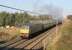 Tyseley based, green liveried, Brush Type 4 D1755 (47773) brings up the rear of <I>The Coronation Scot</I>, hauled by LMS Pacific 6201 <I>Princess Elizabeth</I> at Woodacre on 12 November [see image 36384]. The train was heading for Glasgow via Shap and Beattock. <br><br>[Mark Bartlett 12/11/2011]
