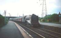 A2 Pacific no 60512 <I>Steady Aim</I> gets into its stride passing Joppa with a southbound ECML working on an overcast afternoon in August 1959. <br><br>[A Snapper (Courtesy Bruce McCartney) 06/08/1959]