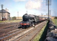 Haymarket A3 Pacific no 60089 <I>Felstead</I> speeds west through Saughton Junction on Thursday 1 August 1957 at the head of the Edinburgh Waverley - Glasgow Queen Street leg of the down <I>North Briton</I> ex Leeds City.<br><br>[A Snapper (Courtesy Bruce McCartney) 01/08/1957]