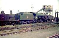 A busy scene in the yard at Polmadie on 16 May 1959. Standing in the centre of the picture is home based Royal Scot 4-6-0 no 46105 <I>Cameron Highlander</I>.<br><br>[A Snapper (Courtesy Bruce McCartney) 16/05/1959]