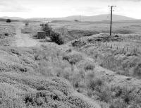 The former line from Auchinleck to Cairnhill Mine was proposed for re-opening to a new opencast development at Gasswater. View shows the former NCB line from the exchange sidings on the Muirkirk branch looking towards Cairnhill in July 1998.<br><br>[Bill Roberton 16/07/1998]