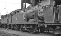 Miscellaneous steam locomotives at the end of their operational lives awaiting disposal at Longsight shed, Manchester, in 1959. Main subject is 0-4-4T no 41908, officially withdrawn from here in November 1959, with 0-6-0T no 47291 nearest the camera, withdrawn the following month. [With thanks to Messrs Rafferty, McRae and Smith]<br><br>[K A Gray //1959]