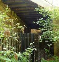 The A93 overbridge where it crosses the stub of the Braemar extension just west of Ballater station, photographed on 31 May 2009. Access below the bridge is now blocked by a steel fence. The permanent way west of the bridge has been partly in-filled and there is now a foot-path in its place. [See image 37499] <br><br>[John Williamson 31/05/2009]