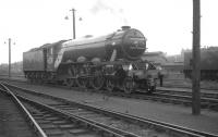 Gresley A3 Pacific no 4472 <I>Flying Scotsman</I> stands on Ferryhill shed on 16 May 1964, having arrived in Aberdeen earlier that day with the Queens College RTS <I>'Flying Scotsman Railtour'</I> from Edinburgh [see image 36107].<br><br>[K A Gray 16/05/1964]