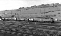 On a fine spring evening in 1977, 47301 sets off from the east end of Healey Mills Yard with a rake of empty 16T mineral wagons bound for one of the many collieries still extant in the former West Riding at that time.<br><br>[Bill Jamieson /05/1977]
