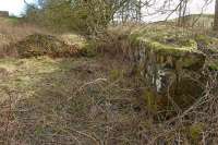 A little south of Gask Junction on the West of Fife Mineral Railway's Lethans No1 branch, and adjacent to the A823, are the remains of Lochend Siding, a loading bank served by a single track spur. View looking south on 11 March.<br><br>[Bill Roberton 11/03/2012]