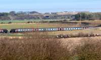 Northbound and southbound CrossCountry Voyagers about to pass on 11 March on the ECML at Longhoughton, Northumberland. In the foreground are runners in a point-to-point race taking place at nearby Ratcheugh Farm.<br><br>[John Steven 11/03/2012]