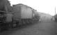 Looking west along the locomotive sidings on the north side of Carstairs shed in July 1966. B1 4-6-0 no 61116, officially withdrawn that month, stands centre stage. <br><br>[K A Gray /07/1966]