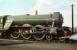 Visiting A3 Pacific no 60093 <I>Coronach</I>, a Carlisle Canal 'lifer', stands in sunshine on Haymarket shed in 1959.<br><br>[A Snapper (Courtesy Bruce McCartney) 28/03/1959]