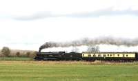 GWR King Class 4-6-0 no 6024 <I>King Edward 1</I> seen shortly after departing from Westbury (Wilts) and approaching Fairwood Junction on 17 March 2012. The special's ultimate destination was Exeter.<br><br>[Peter Todd 17/03/2012]