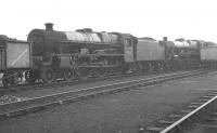 Jubilees in a siding alongside Blackpool North shed in September 1962. Nearest the camera is no 45731 <I>Persevereance</I>. The locomotive was officially withdrawn from Blackpool Central (24E) three months later.<br><br>[K A Gray 23/09/1962]