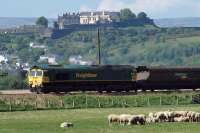 Overlooked by Stirling castle, Freightliner locomotive 66 555 motors past some very relaxed looking sheep near Cambuskenneth in May 2010. The load is coal destined for Longannet power station.<br><br>[Mark Dufton 22/05/2010]