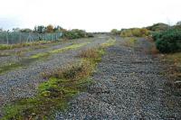 The lifted Ardeer ICI sidings at Stevenston in October 2008. The Ardrossan Railway is to the left, the Lanarkshire and Ayrshire Railway was to the right and the Misk or Ardeer branch ran off to the right behind the camera.<br><br>[Ewan Crawford /10/2008]