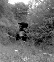 The short tunnel just west of the station at Combe Hay, photographed in 1962 [see image 38597].<br><br>[John Thorn //1962]