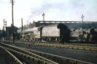 A Saturday afternoon view of Polmadie shed in late September 1959. Home-based Stanier Pacific no 46201 <I>Princess Elizabeth</I> stands centre stage. <br><br>[A Snapper (Courtesy Bruce McCartney) 26/08/1959]