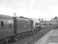 A4 no 60019 <I>Bittern</I> takes a bow for the photographers at Aberdeen on 3 September 1966, the occasion of the last scheduled A4 operated service to Glasgow. <br><br>[K A Gray 03/09/1966]