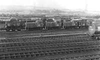 The morning of Sunday 5th September 1976 finds a row of apparently dumped class 03 shunters at the east end of Healey Mills Yard. In fact No. 03 097 in the middle was the only one of this trio not to see further service - 03 047 on the left was only in store and would not be withdrawn until the middle of 1979, while 03 111 on the right was reinstated a couple of months later at Gateshead TMD and soldiered on into 1980.<br><br>[Bill Jamieson 05/09/1976]