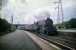 Gresley A3 60078 <I>Night Hawk</I> heading back to the north east late one afternoon in the summer of 1959. The Pacific is at the head of an ECML service from Waverley photographed passing through Joppa.<br><br>[A Snapper (Courtesy Bruce McCartney) 06/08/1959]