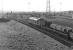 The feather on the colour light signal indicates that 40 007 and its mixed freight are about to switch from the westbound slow (which it will have used from Wakefield Kirkgate) to the fast line in order to access the reception sidings at the west end of Healey Mills Yard in May 1977.<br><br>[Bill Jamieson /05/1977]