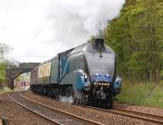 A4 Pacific no 4464 'Bittern' speeds away from Dalgety Bay on 19 May with the northbound <I>Cathedrals Explorer</I>.<br><br>[Bill Roberton 19/05/2012]