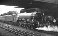 4472 <I>Flying Scotsman</I> stands at York station on 2 May 1964 with the Gresley Society's 9 coach 'London North Eastern Flyer' which ran between Kings Cross and Darlington North Road. The trip included a visit to Darlington Locomotive Works.<br><br>[K A Gray 02/05/1964]