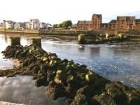 Evening sunlight catches the piers of the dismantled viaduct on the branch to Ayr South Harbour on 20 July. Some fragments of railway remain on the quayside.<br><br>[Bill Roberton 20/07/2012]
