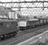 76022 heads through Penistone towards Sheffield in July 1981 with a train of scrap from Dewsnap Sidings in Dukinfield. Meantime 45001, employed that afternoon on trip workings between Penistone and Dodworth Colliery, is about to shunt a half-load of power station coal into the sidings at Barnsley Junction.<br><br>[Bill Jamieson 17/07/1981]