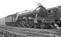 Pacifics on Gateshead shed, date unspecified. A3 no 60065, <I>Knight of Thistle</I> (withdrawn June 1964) stands alongside A1 no 60138 <I>Boswell</I> (withdrawn October 1965).<br><br>[K A Gray //]