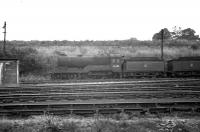 D11 4-4-0 no 62689 <I>Maid of Lorn</I> standing in the stored locomotive sidings alongside Polmont shed, thought to have been photographed in 1961. The locomotive was officially withdrawn from Eastfield in July of that year and cut up the following month in Heatheryknowe sidings, Coatbridge.<br><br>[K A Gray //1961]