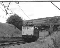Having earlier worked a train of empty vacuum-braked coal hoppers to Sheffield, 76051 has not found a return load on offer and makes its way back westwards light engine, seen here at Ecklands, west of Penistone, on 17 July 1981. This would almost certainly be its last trip through Woodhead Tunnel. <br><br>[Bill Jamieson 17/07/1981]