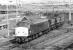 45 001 deposits another half load of power station coal in the sidings at Barnsley Junction, Penistone, in July 1981. There was one more train from here to Fiddler's Ferry after the 16.30 departure, so the Peak will make another trip to Dodworth Colliery in order to make up a full train. A week later the traffic would be routed via Healey Mills, which at least created some additional interest for the photographer, who then lived adjacent to the Calder Valley main line at Mirfield.<br><br>[Bill Jamieson 17/07/1981]