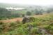 A misty morning on the North York Moors to the south of Goathland on 10 July 2012. In the background class S15 4-6-0 no 825 climbs north, running tender first, with a through train for Whitby.<br><br>[John Furnevel 10/07/2012]