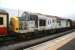 Transrail liveried 37250 stands in the sidings at Leeming on 7 July 2012. [See image 31317]<br><br>[John Furnevel 09/07/2012]