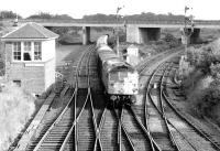 A type 2 passes Dalmeny Junction signal box with a northbound freight heading for the Forth Bridge in 1971. The branch from South Queensferry came in behind the box and the line round to Winchburgh Junction is on the right.<br><br>[John Furnevel 11/11/1971]