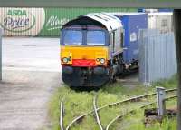 Asda containers at WHM Grangemouth on 13 June 2005, recently arrived behind DRS 66446.<br><br>[John Furnevel 13/06/2005]