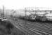 A Clayton takes a freight north through Motherwell on the WCML in October 1970. The train has just passed through the station and is about to pass the Motherwell Bridge works. <br><br>[John Furnevel 30/10/1970]