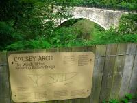 The Causey Arch on the Tanfield Railway in August 2012.<br><br>[John Yellowlees 19/08/2012]
